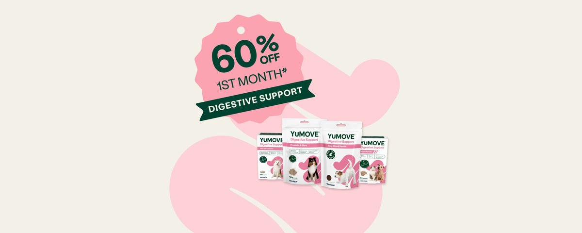 60% off 
Digestive Support