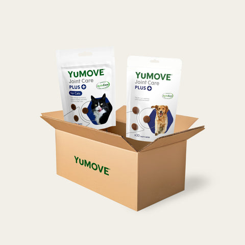 Dog & Cat Bundle Bundle