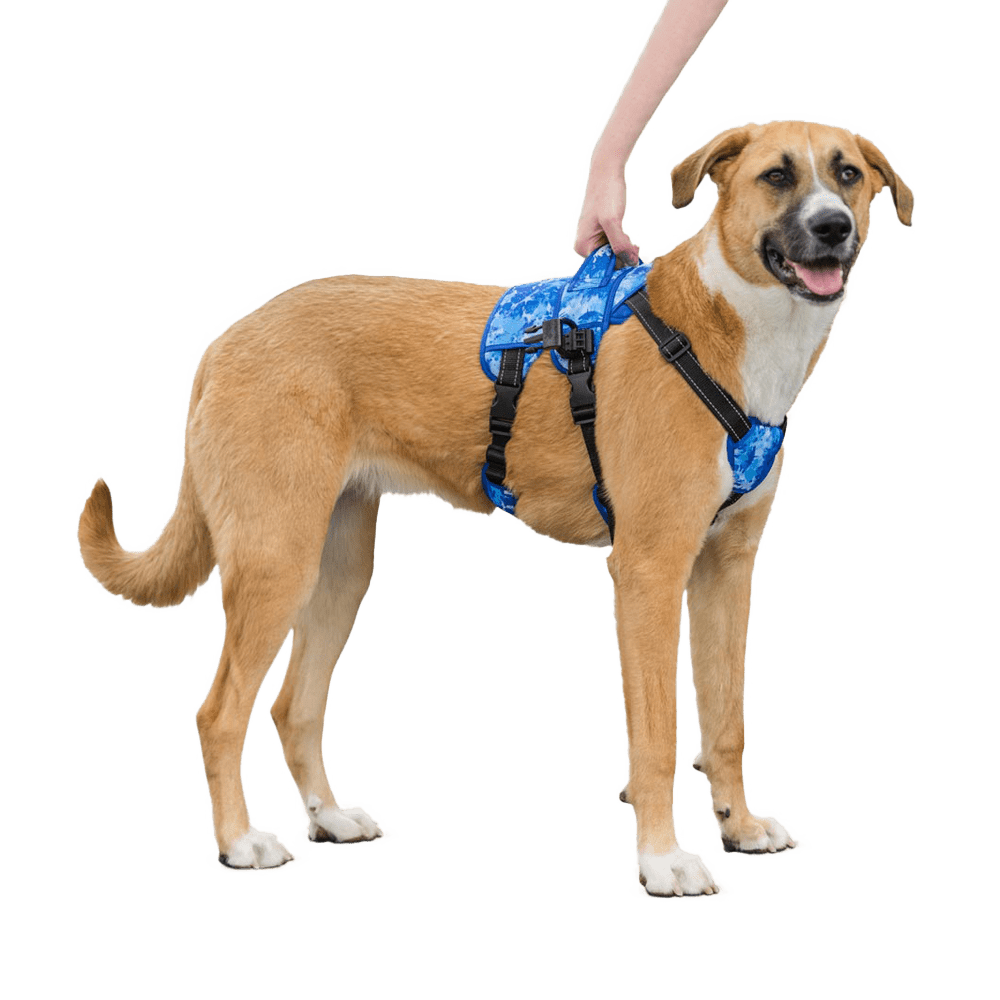 Front leg sales sling for dogs