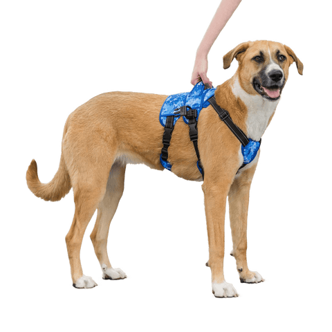 Find the right Harness Lift for your Dog YuMOVE