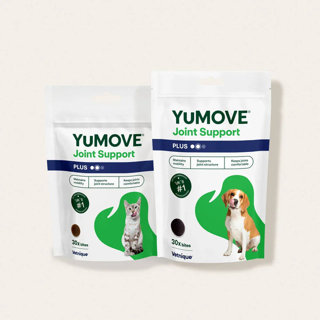 Dog & Cat Bundle Bundle1