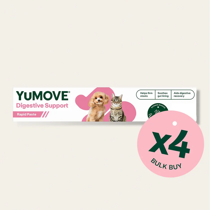 Digestive Care Rapid Bulk Buy 4 Pack Bundle