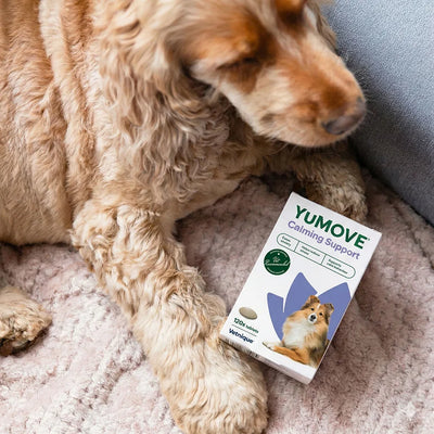 Calming Care for Adult Dogs Calming 2