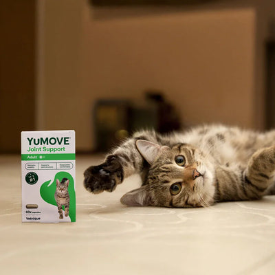 Joint Care for All Cats Joints 60 Capsules 2