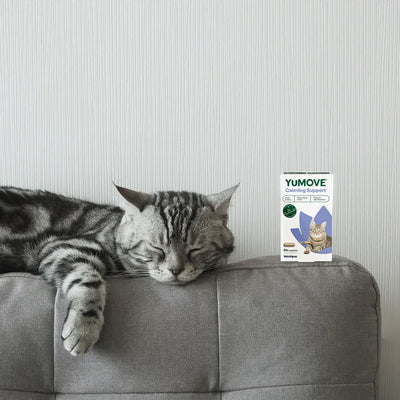 Calming Care for Cats Calming 30 capsules 2