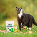 Joint Care PLUS Bites for Cats Joints 30 Bites bullet 2