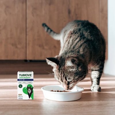 Joint Care PLUS for Cats Joints 60 Capsules 2