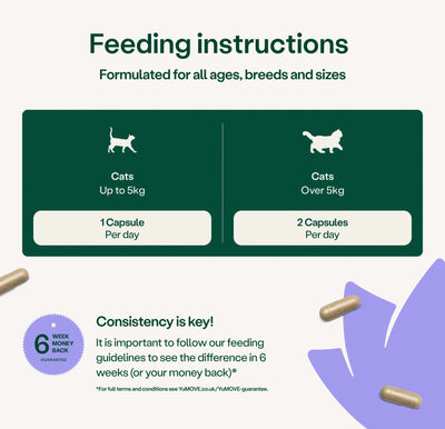 Calming Care for Cats Calming 30 capsules 2