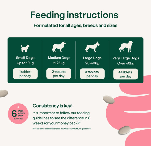 Digestive Care Prebiotic & Probiotic Tablets Digestive Health3