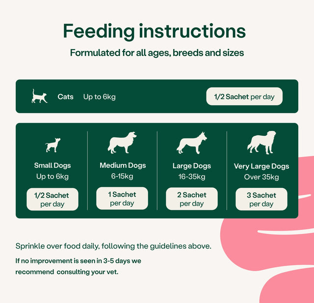 Digestive Support Rapid Powder for Dogs & Cats Digestive Health5