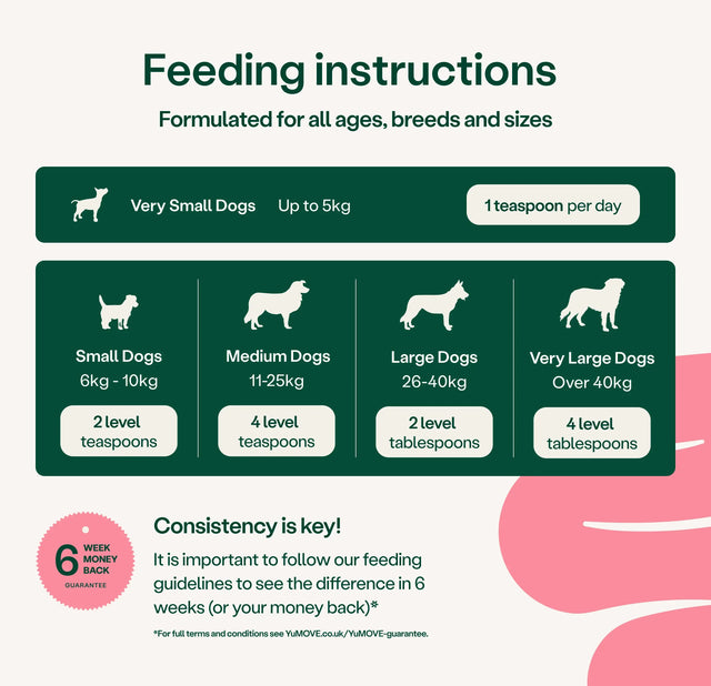 Digestive Care Probiotic & Fibre for Dogs Digestive Health3