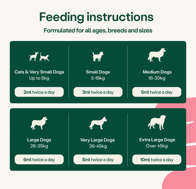 Digestive Care Rapid Digestive Health 2