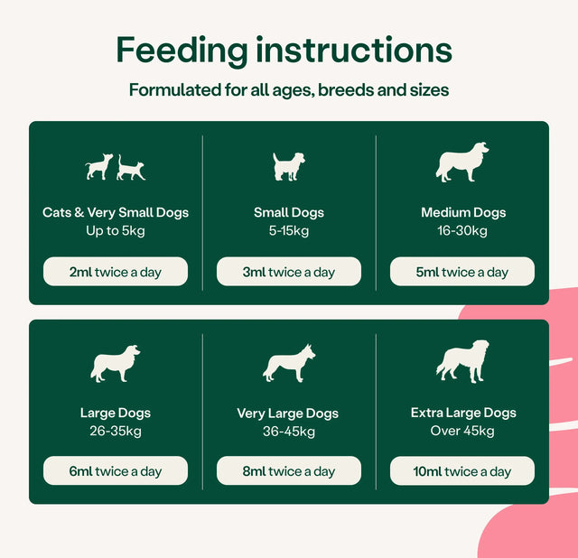 Digestive Care Rapid Digestive Health3