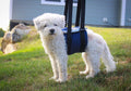 Support Sling for Dogs bullet 4