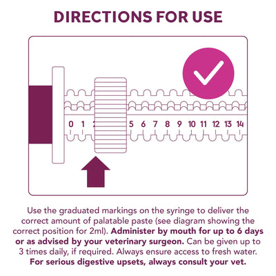 Digestive Care Rapid Digestive Health 2