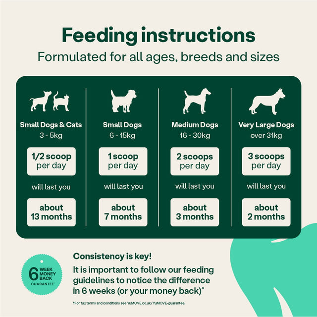 Dental Care Daily Clean Powder Dental Powder 90g Pouch3