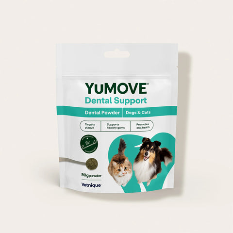Dental Support Dental Powder for Dogs & Cats Dental Powder 90g Pouch