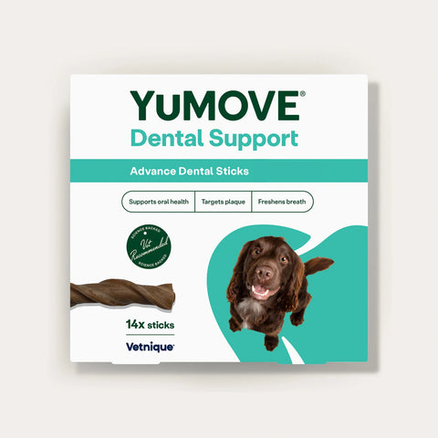 Dental Support Advanced Dental Sticks Dental Sticks