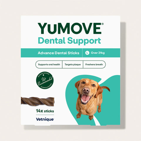 Dental Support Advanced Dental Sticks Dental Sticks