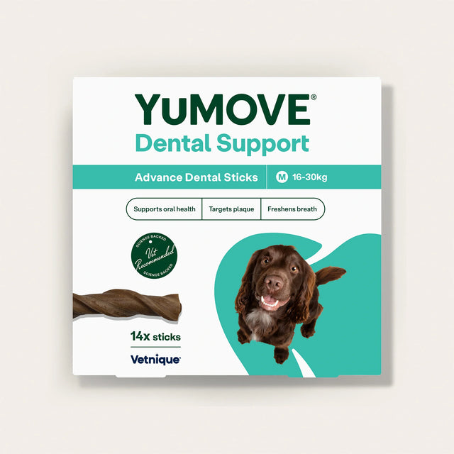 Dental Support Advanced Dental Sticks Dental Sticks3