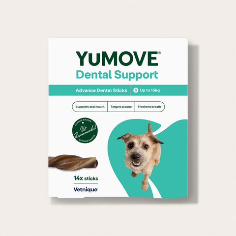 Dental Support Advanced Dental Sticks Dental Sticks