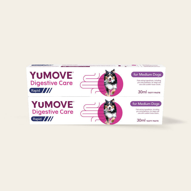 Digestive Care Rapid Digestive Health Medium Dog / Double pack10