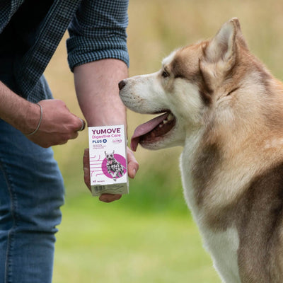 Digestive Care PLUS For Dogs and Cats Digestive Health 2