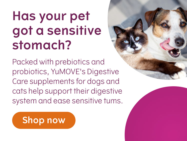 Yumove Digestive Care 