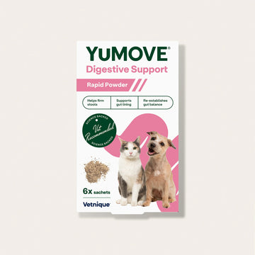 Digestive Support Rapid Powder for Dogs & Cats Digestive Health