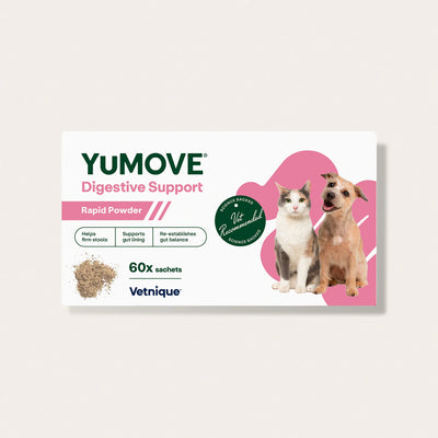 Digestive Support Rapid Powder for Dogs & Cats Digestive Health 2