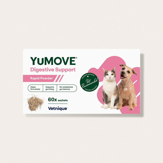 Digestive Support Rapid Powder for Dogs & Cats Digestive Health3