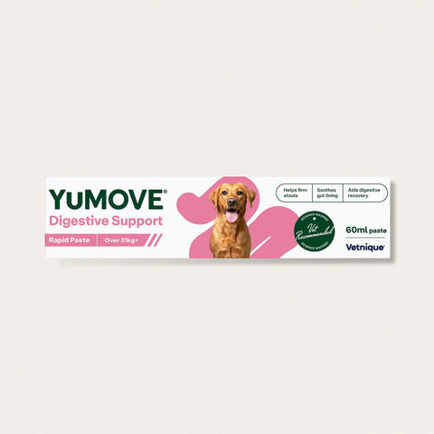 Digestive Care Rapid Digestive Health