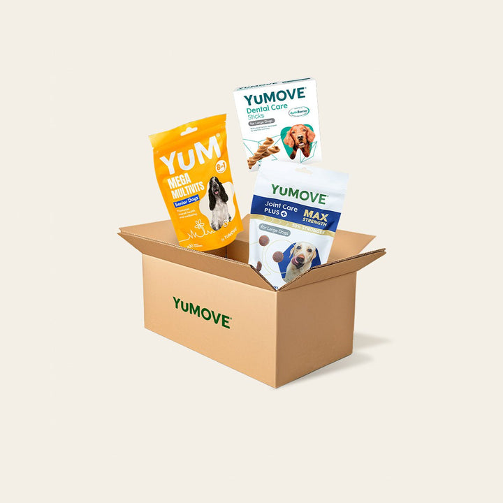 Senior Dog Bundle Bundle