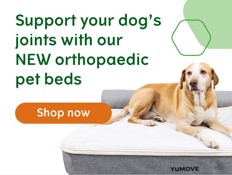 Fringe orthopedic pet bed with memory foam hotsell