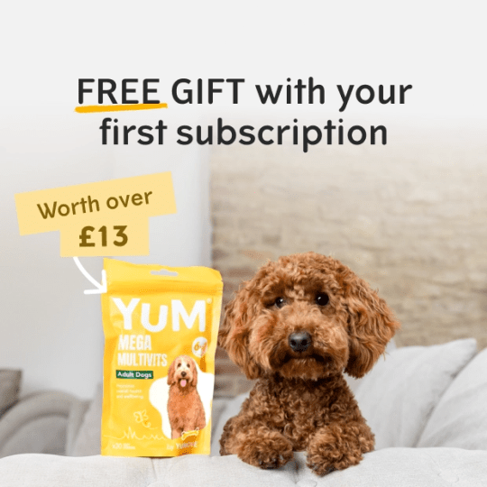 Free gift