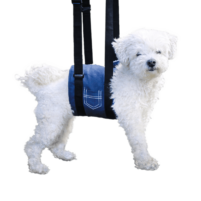 Support Sling Dog Lift Harness YuMOVE UK