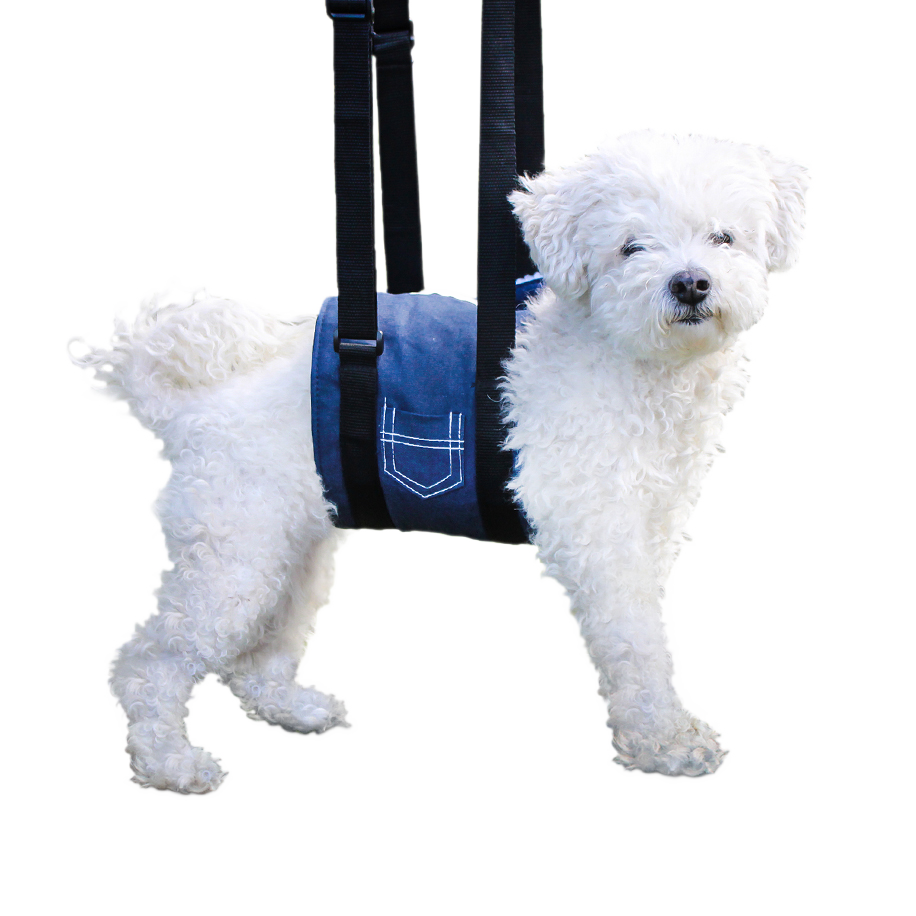 Support Sling for Dogs