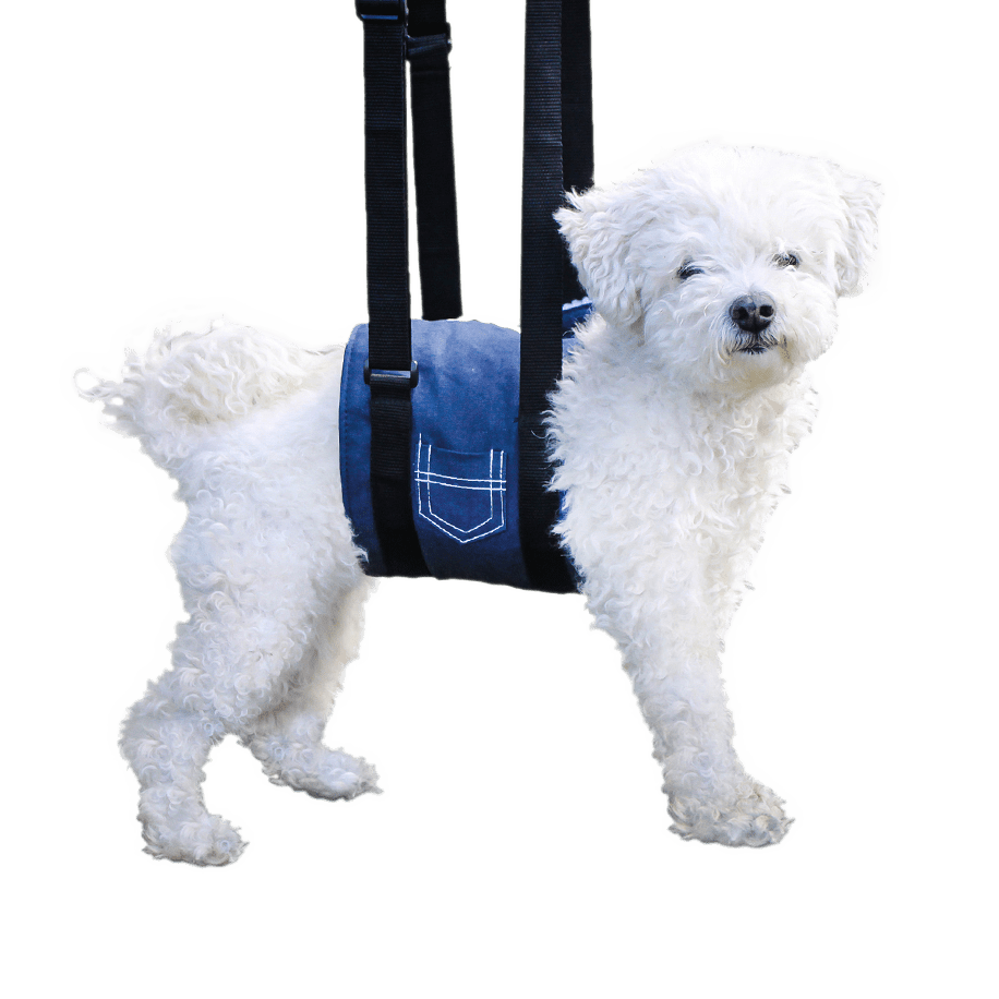 Support Sling for Dogs