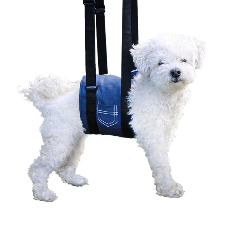 Support Sling for Dogs