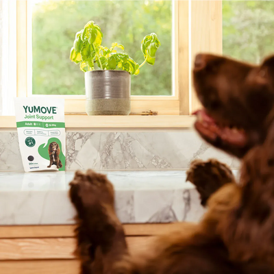 Joint Support One-A-Day Bites for Adult Dogs Joints 2