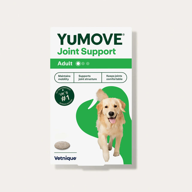 Joint Support for Adult Dogs