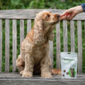 Joint Care One-a-day for Dogs Joints bullet 2