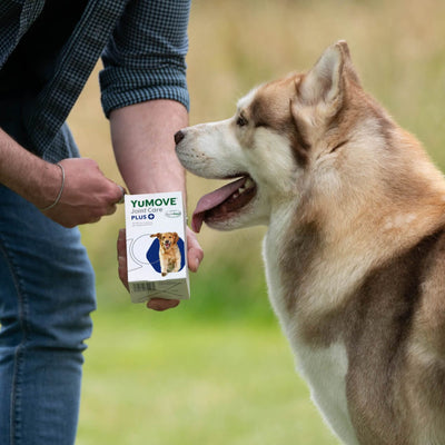 Joint Care PLUS for Dogs Joints 2