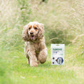 Joint Care PLUS One-a-day for Dogs Joints bullet 2