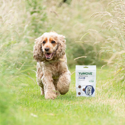 Joint Care PLUS One-a-day for Dogs Joints 2