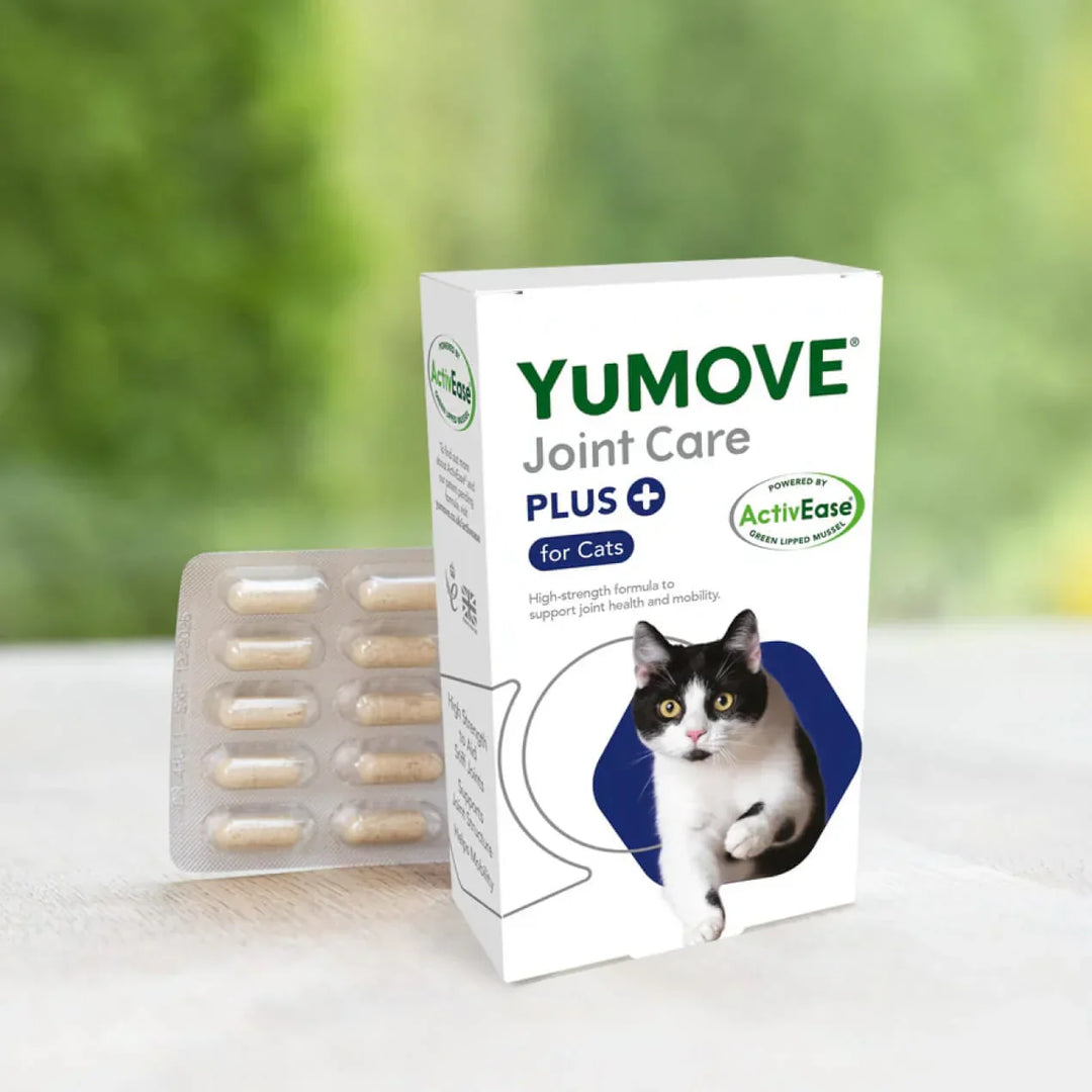 YuMOVE Joint Care Plus for cats packaging with a cat illustration on a blurred green background
