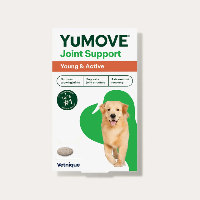 Joint Care for Young Dogs Joints1