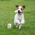 Joint Care for Young Dogs | Bulk Buy 240 Tablets Joints 240 Tablets bullet 2