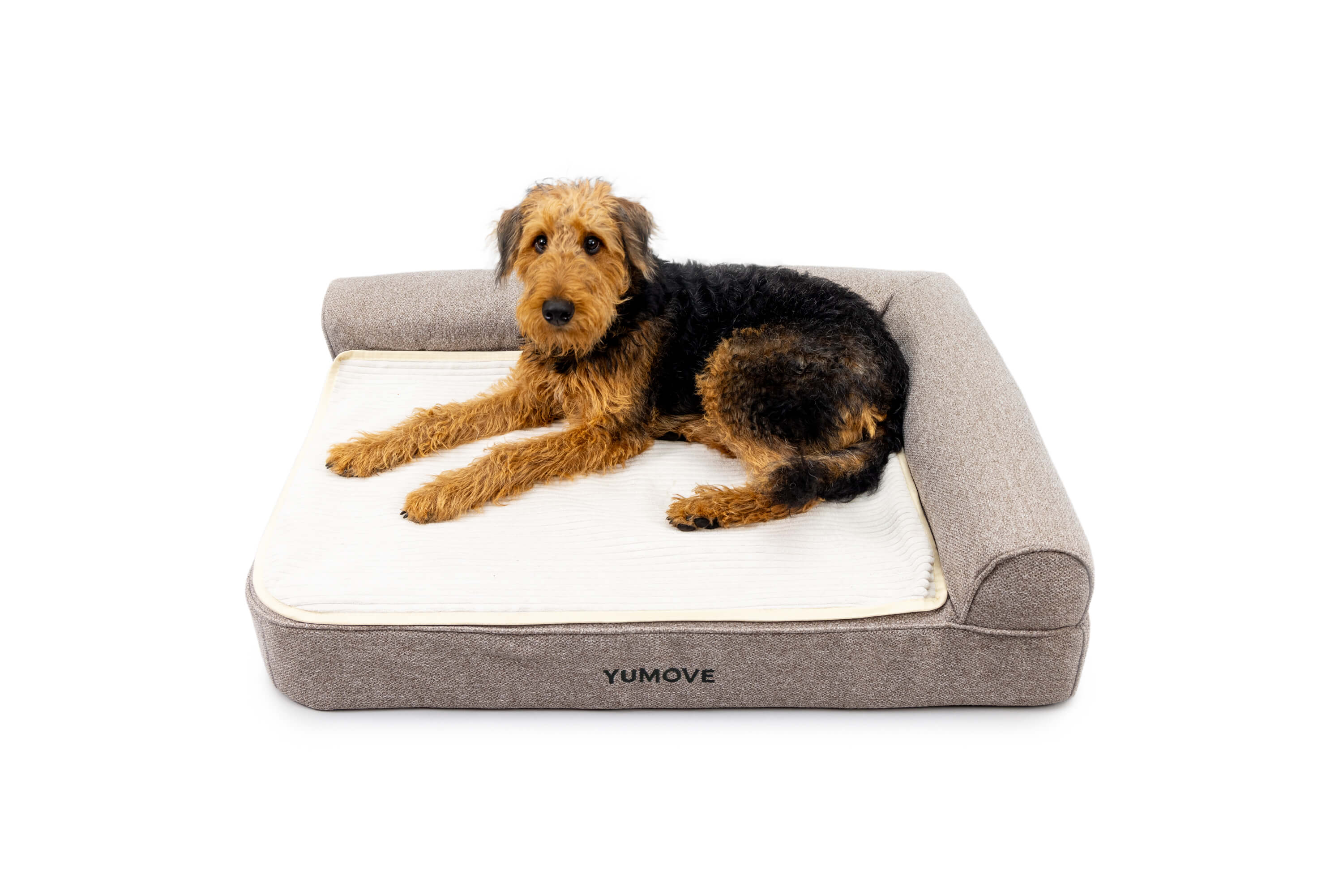 Orthopaedic Pet Bed for Cats & Dogs
