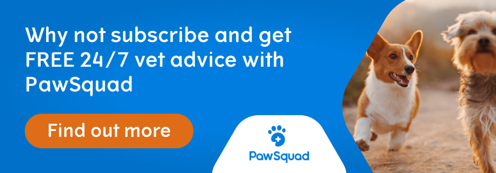 Why not subscribe and get vet advice